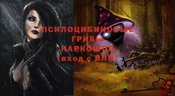 тгк Зеленокумск