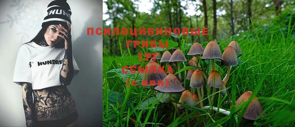 спайс Зерноград