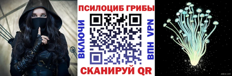 Купить закладки Вилюйск Галлюциногенные грибы MAGIC MUSHROOMS